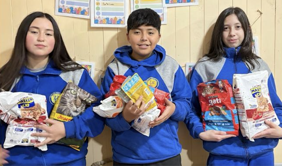 Alimento de Mascotas